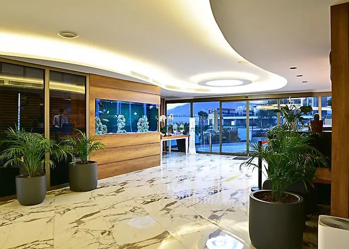 Hotel Jasmin Elite & 3*